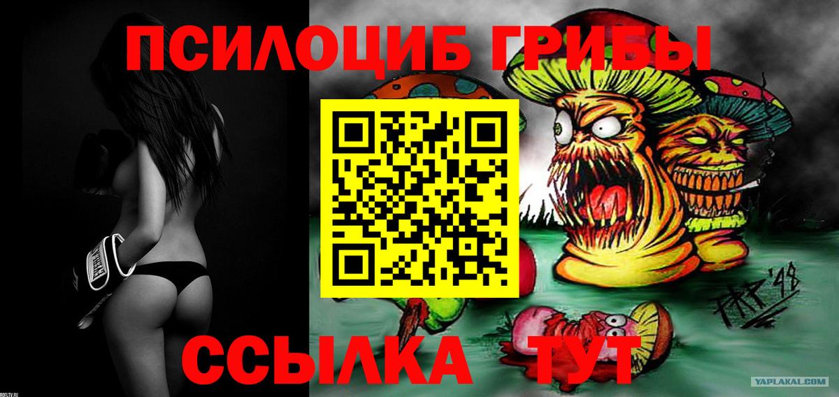 Псилоцибиновые грибы мицелий Домодедово