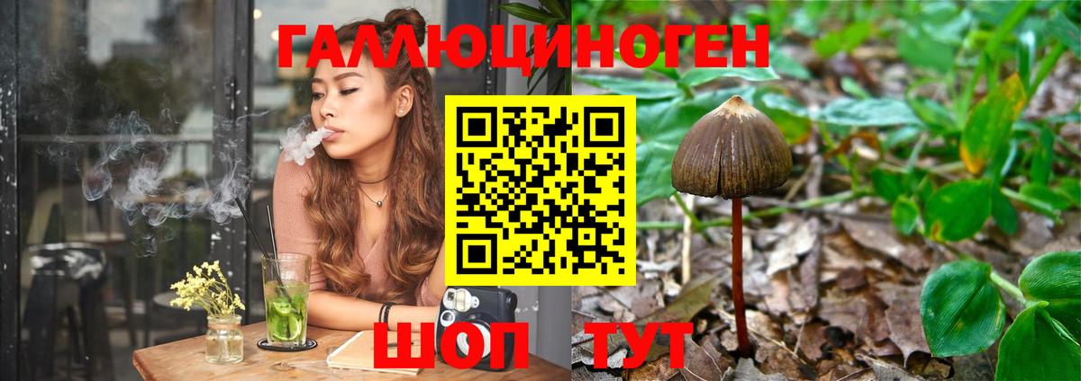 Домодедово  Псилоцибиновые грибы MAGIC MUSHROOMS  Вход с VPN 